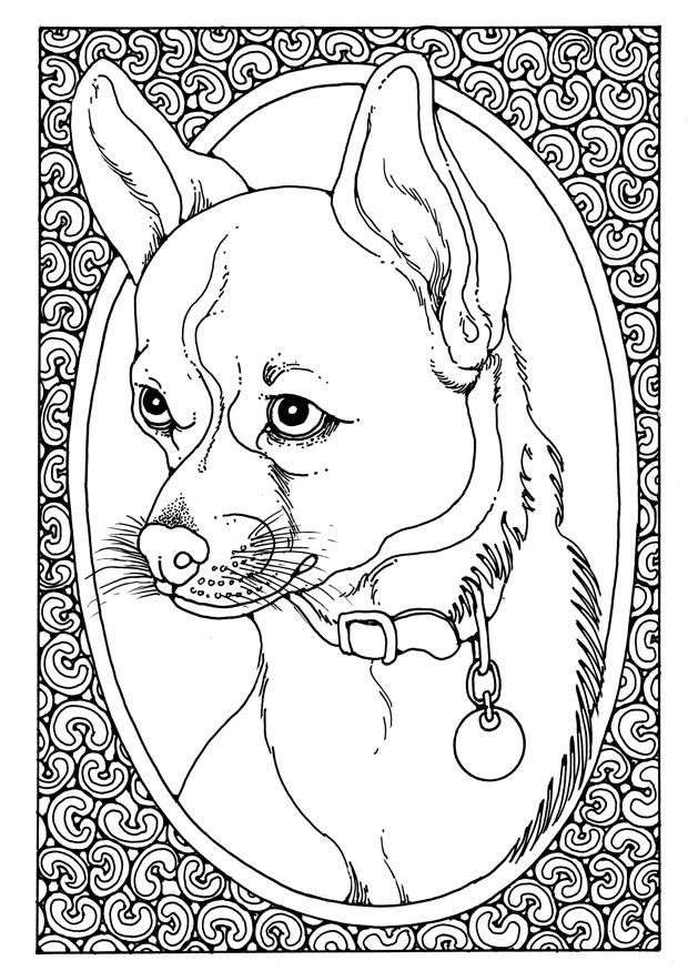 Målarbild porträtt av en hund - Bild 28205.