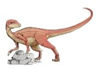bilder Abrictosaurus dinosaurie