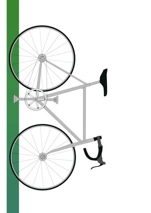 cykel 6