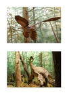 bilder dinosaurier med fjädrar
