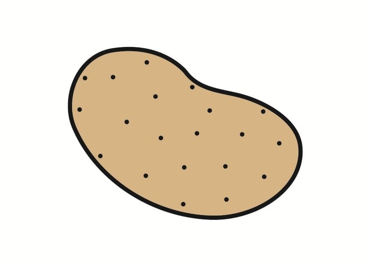 bild potatis