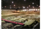 Foton arkeologisk utgrävningsplats, Xian