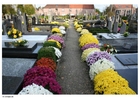 blommor på kyrkogård
