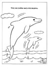 F�rgl�ggningsbilder delfiner