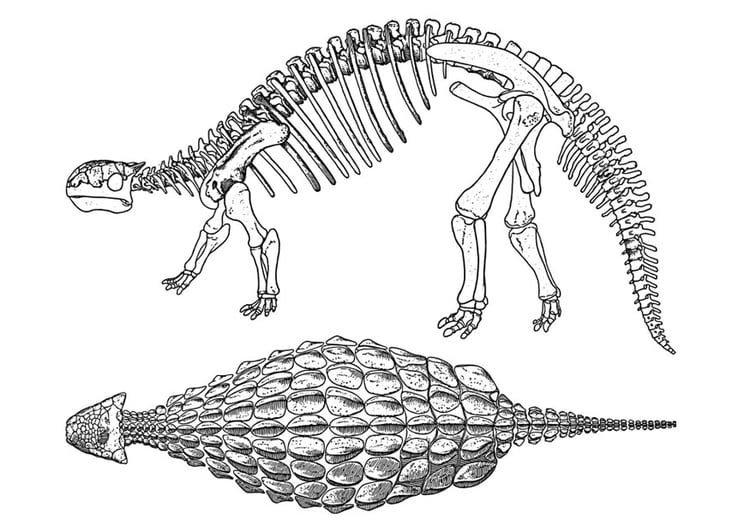 Målarbild dinosaurie - ankylosaurus