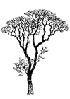 F�rgl�ggningsbilder ett träd utan löv