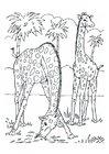 F�rgl�ggningsbilder giraffer