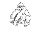 F�rgl�ggningsbilder gorilla