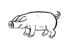F�rgl�ggningsbilder gris