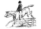 F�rgl�ggningsbilder häst med ryttare