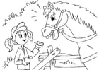 F�rgl�ggningsbilder häst och flicka