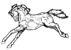 F�rgl�ggningsbilder Häst