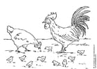 höna, tupp och kycklingar