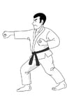 F�rgl�ggningsbilder judo