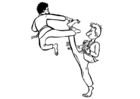 F�rgl�ggningsbilder karate