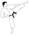 F�rgl�ggningsbilder karate