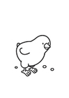 F�rgl�ggningsbilder kycklingens huvud