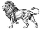 F�rgl�ggningsbilder lejon