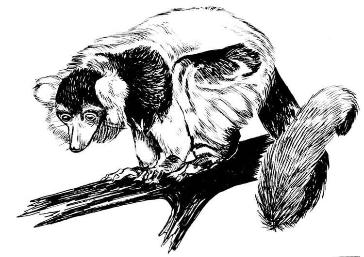 Målarbild lemur