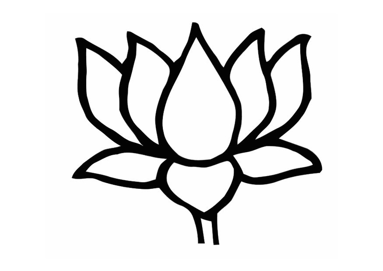 Målarbild lotusblomma