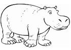 F�rgl�ggningsbilder noshörning