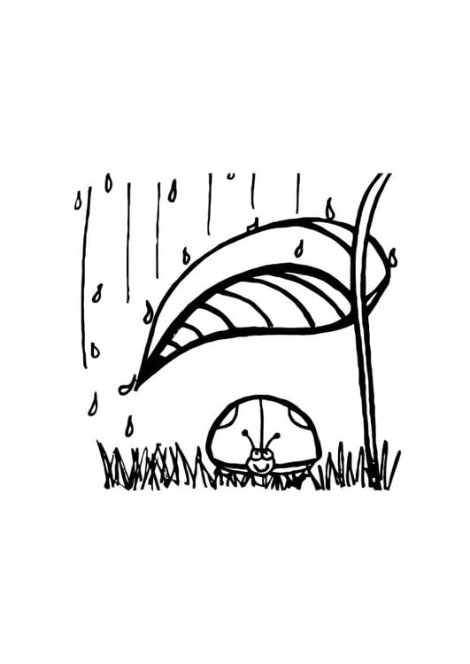 Målarbild nyckelpiga i skydd undan regnet