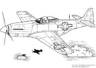 F�rgl�ggningsbilder P-51 Mustang