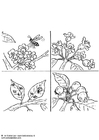 F�rgl�ggningsbilder pollinera