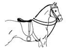 F�rgl�ggningsbilder sadlad häst