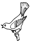 F�rgl�ggningsbilder sångfågel