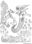 F�rgl�ggningsbilder sjöjungfru och sjöhäst