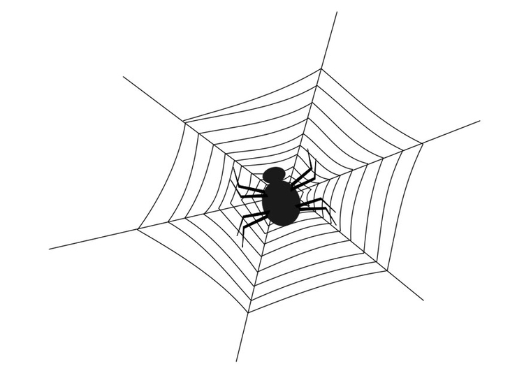 Målarbild spindelvÃ¤v med spindel