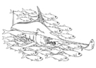 F�rgl�ggningsbilder svärdfisk i fiskstim
