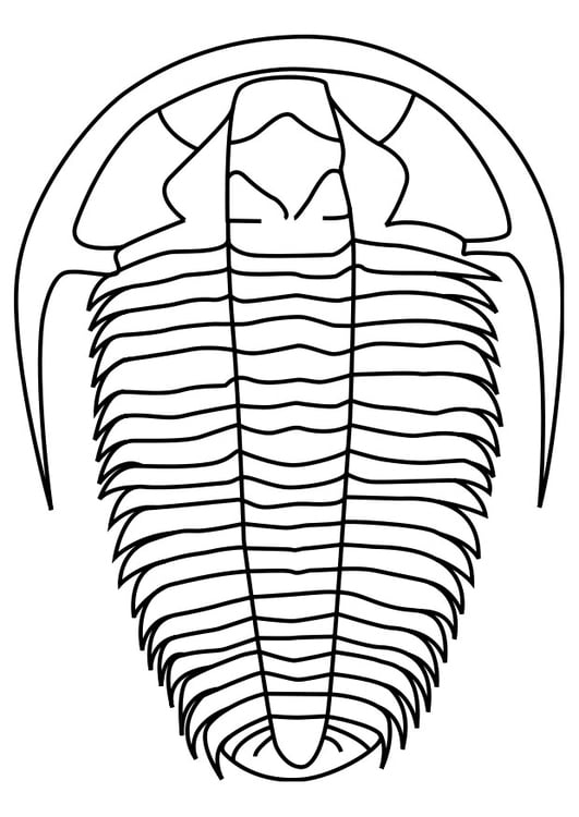Målarbild trilobit