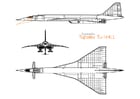 F�rgl�ggningsbilder Tupolev - jetflygplan 