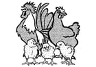 F�rgl�ggningsbilder tupp, höna och kycklingar