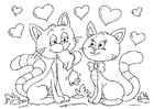 Valentin-katter