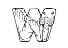 F�rgl�ggningsbilder w-walrus