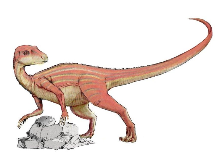 bild Abrictosaurus dinosaurie