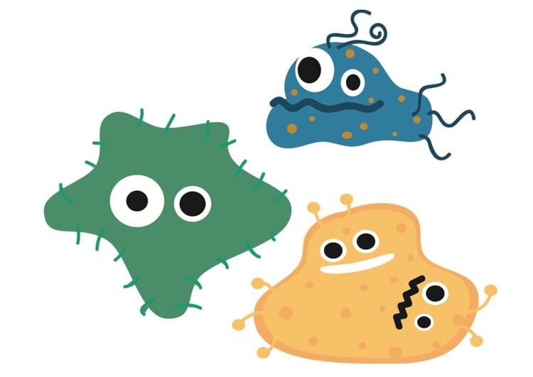 bild bakterie
