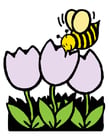 bilder bi och tulpaner