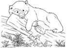 Målarbild björn