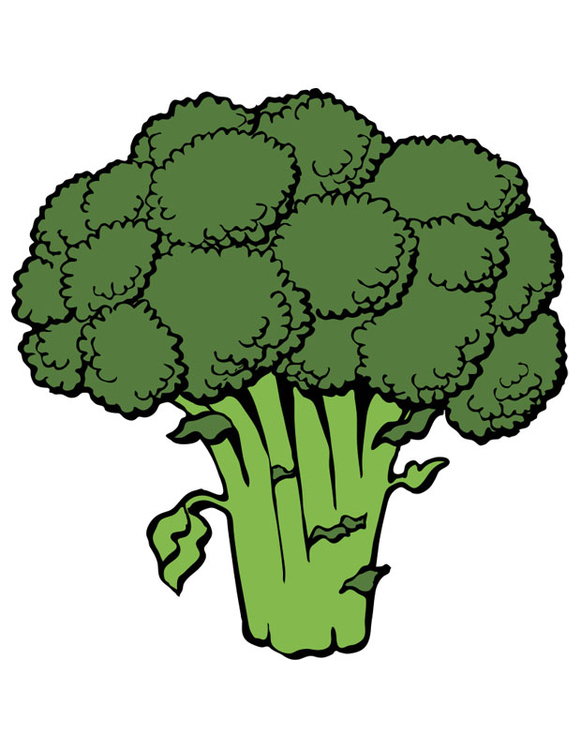 bild broccoli