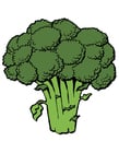 bilder broccoli