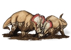 bild Centrosaurus