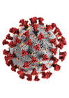 bilder coronavirus