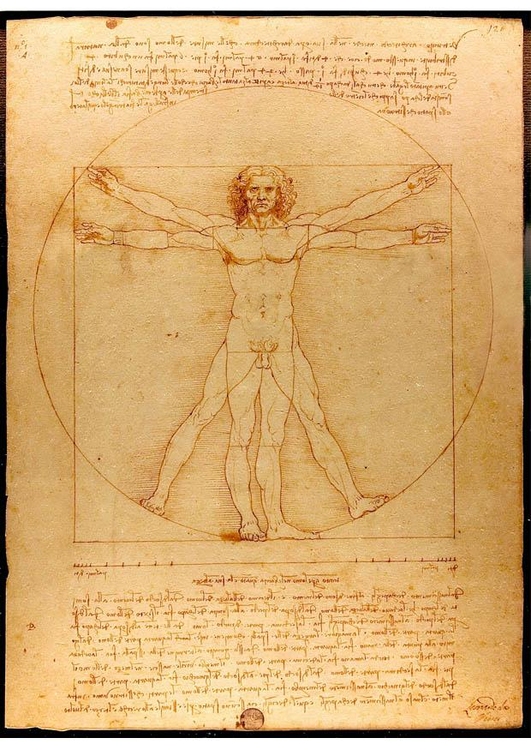 bild Den vitruvianske mannen av Leonardo da Vinci