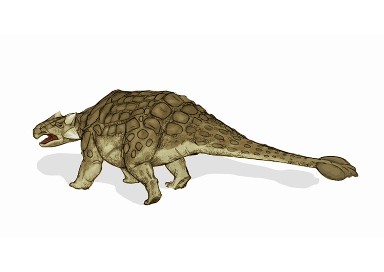 bild dinosaurie - ankylosaurus 2