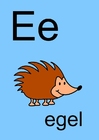bild e