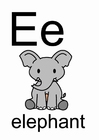 bild e